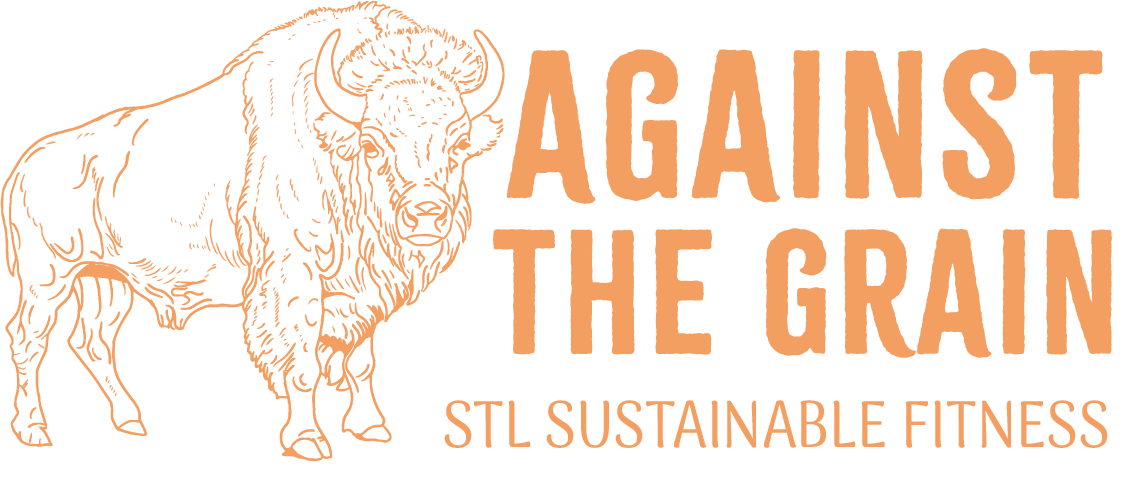 stl fitness and nutrition