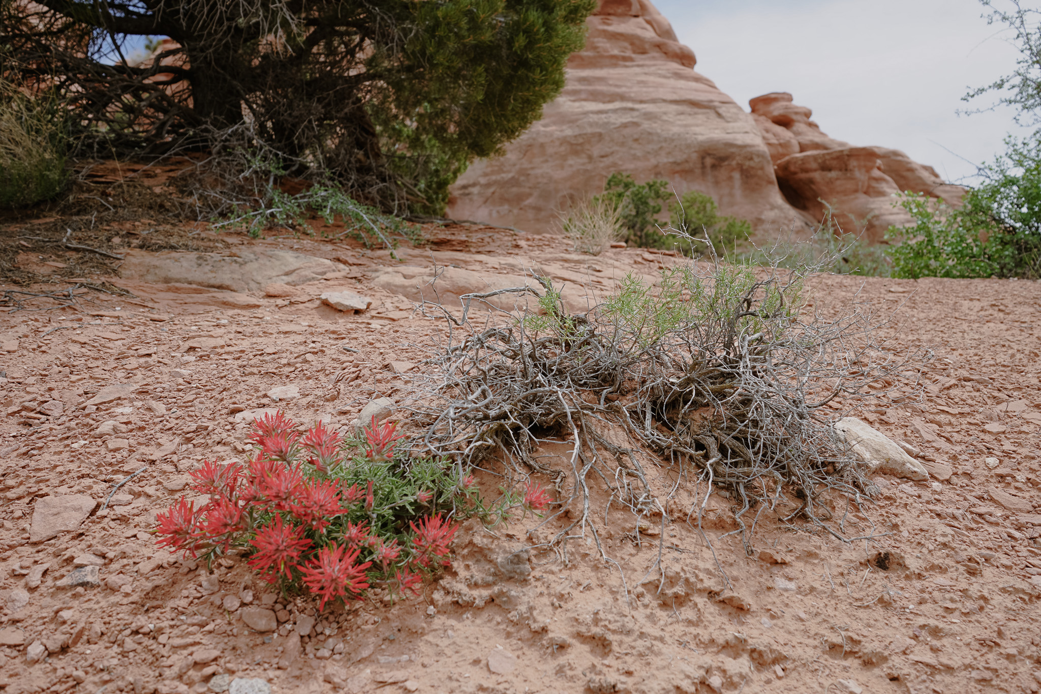 St Louis Nutrition Coach, st louis gym, healthy eating, gym near me