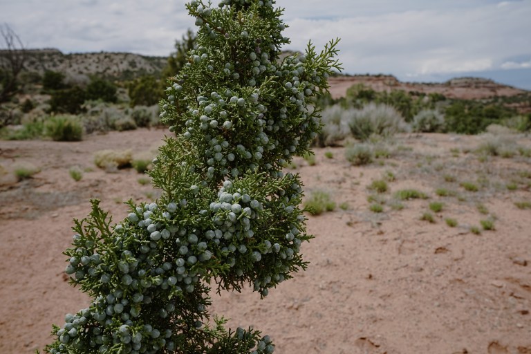 personal trainer, sustainable weight loss, healthy living, nutrition coach