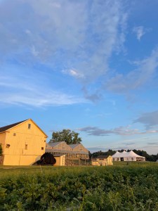 personal trainer for 50 plus in st louis