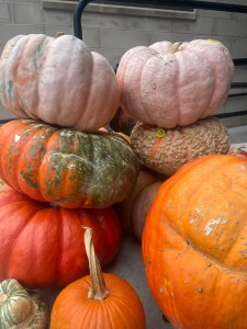 eating healthier st louis