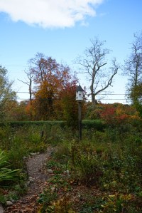 St. Louis fitness coaching for beginners